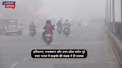 Cold Wave Alert Haryana 17 November