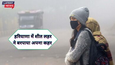 Haryana Ka Mausam 17 November