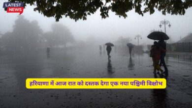 Haryana Ka Mausam 29 November