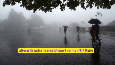 Haryana Ka Mausam 8 November