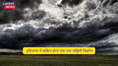 Mausam Forecast Haryana 22 November