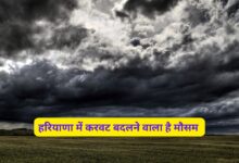 Mausam Forecast Haryana 4 November