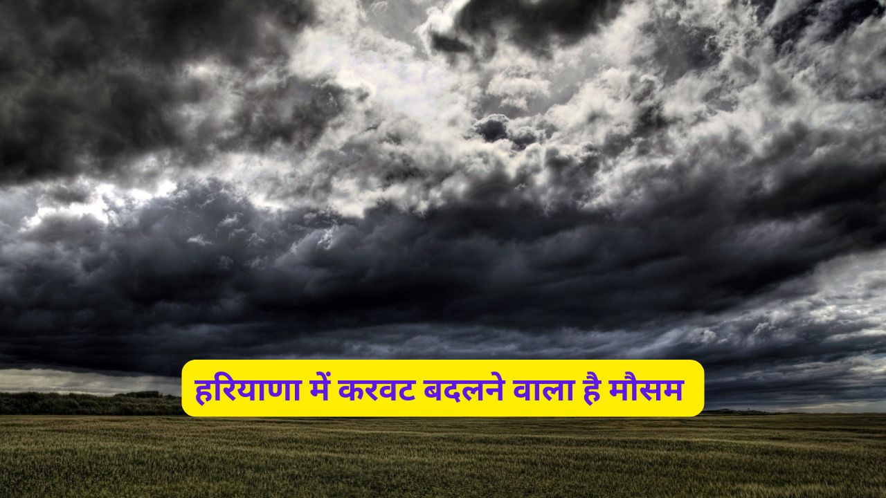 Mausam Forecast Haryana 4 November