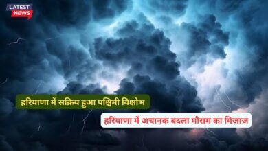 Aaj Haryana Ka Mausam 11 December