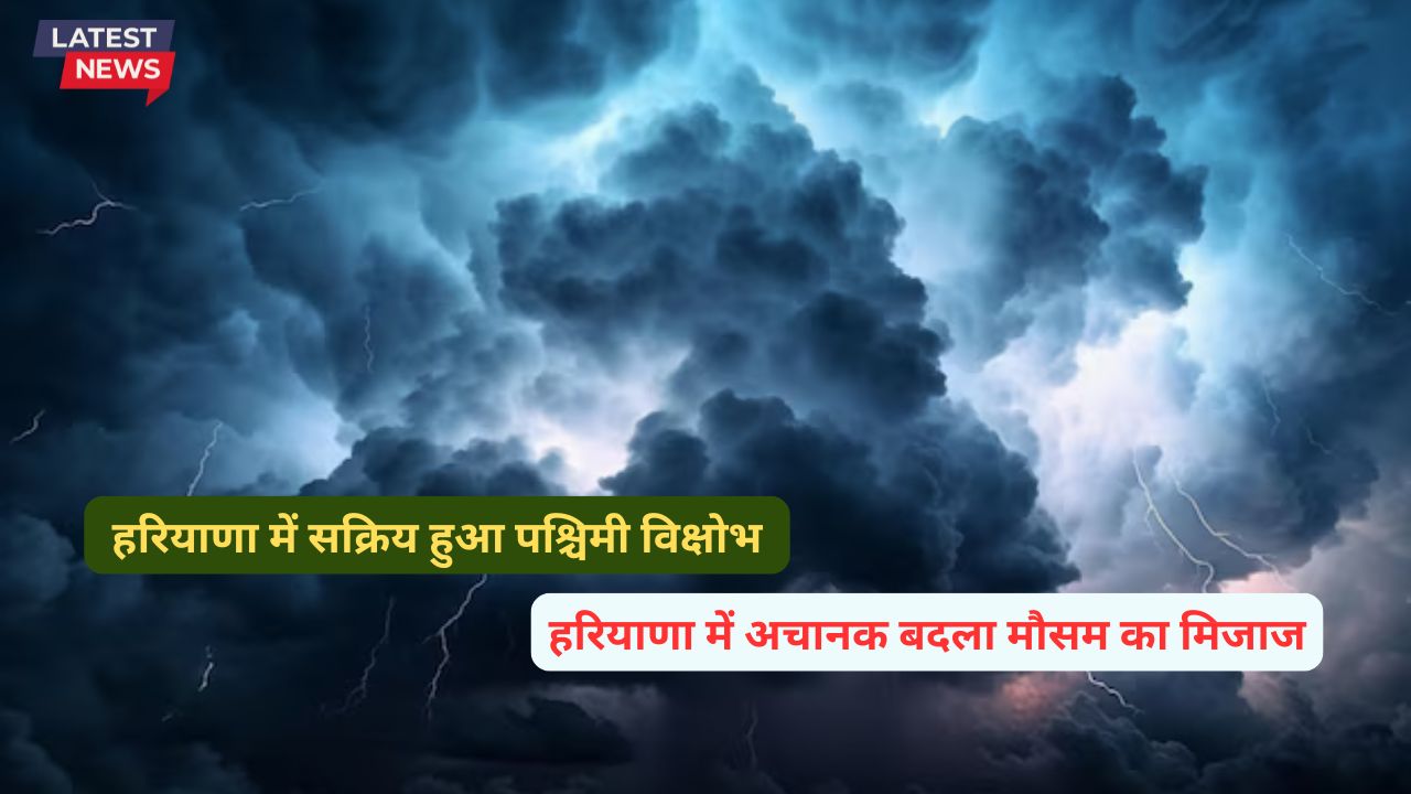 Aaj Haryana Ka Mausam 11 December