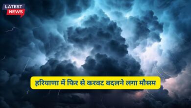 Aaj Haryana Ka Mausam 13 December