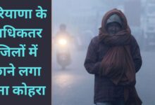 Cold Wave Alert Haryana 21 December