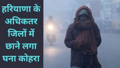 Cold Wave Alert Haryana 21 December