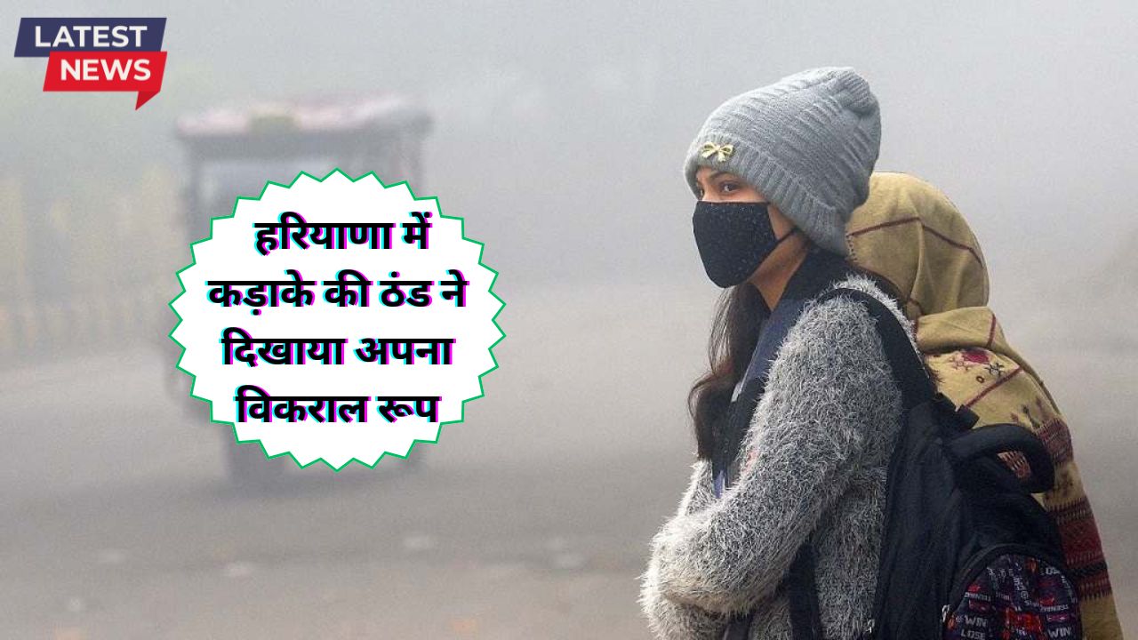 Haryana Ka Mausam 12 December 