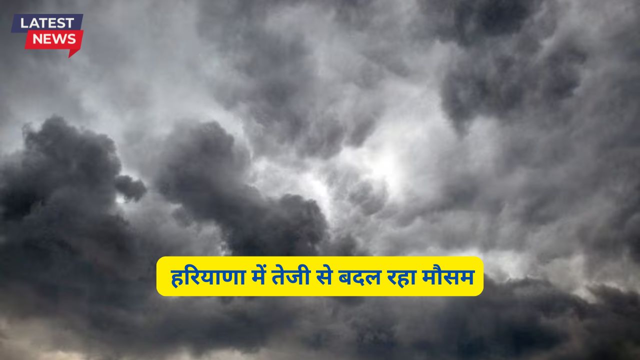 Haryana Ka Mausam 12 December