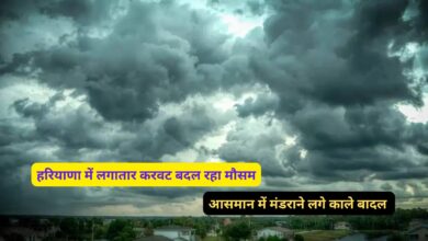 Haryana Ka Mausam 28 December