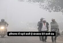 Haryana Ka Mausam 3 December 2024