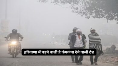 Haryana Ka Mausam 3 December 2024