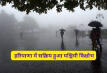 Aaj Haryana Ka Mausam 5 January