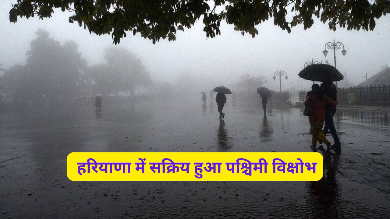 Aaj Haryana Ka Mausam 5 January