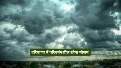 Haryana Ka Mausam 13 January