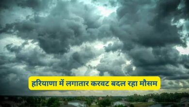 4 February Ka Haryana Ka Mausam