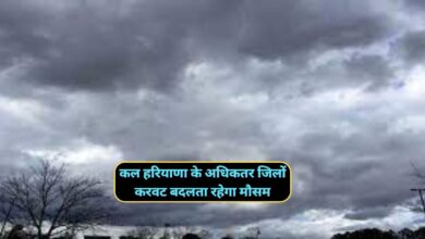 7 February Ka Haryana Ka Mausam