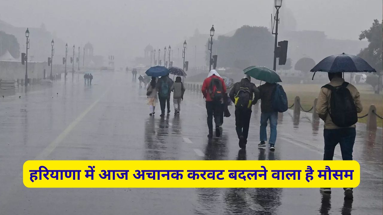 29 July Ka Haryana Ka Mausam