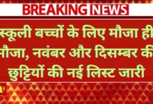 School Holiday List 2025