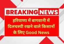 Haryana News