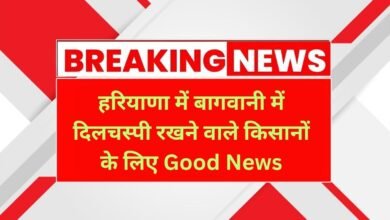 Haryana News
