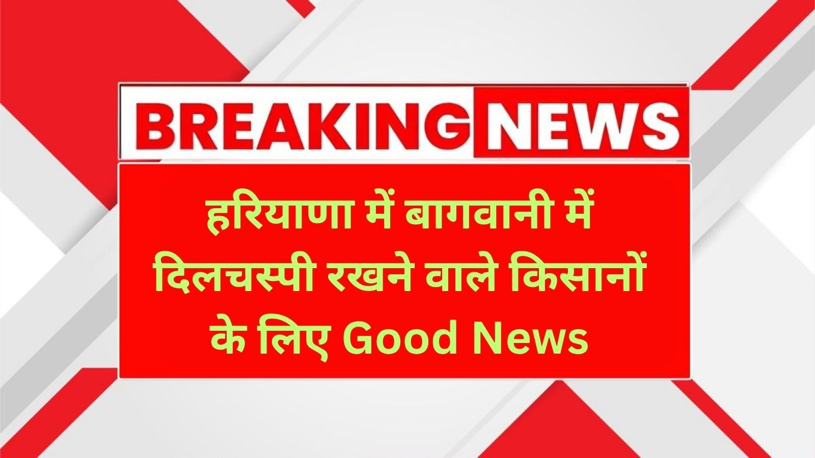 Haryana News