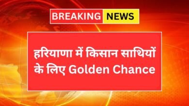 Haryana News